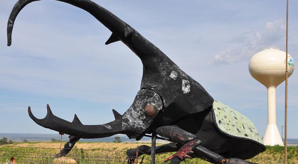 May Natural History Museum in Colorado Springs