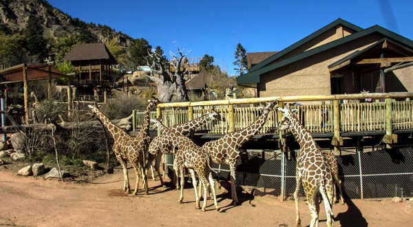 Cheyenne Mountain Zoo, Colorado